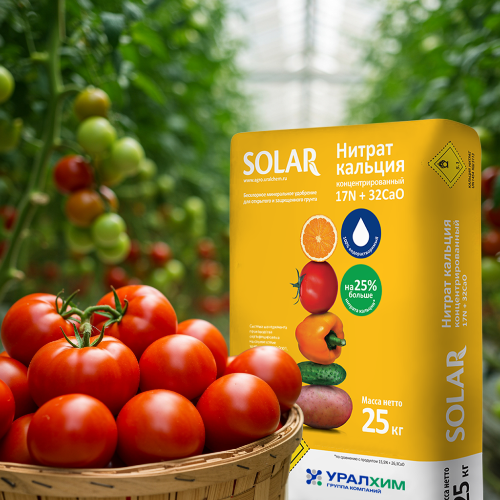 _кальция_для статьи upd.png